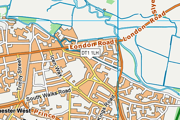 DT1 1LH map - OS VectorMap District (Ordnance Survey) DT1 1LH map - OS VectorMap District (Ordnance Survey)