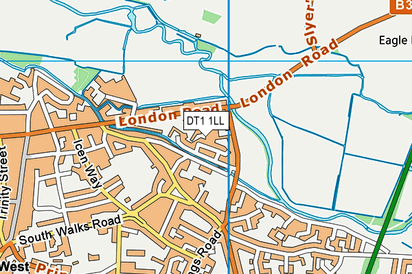 DT1 1LL map - OS VectorMap District (Ordnance Survey)