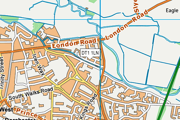 DT1 1LN map - OS VectorMap District (Ordnance Survey) DT1 1LN map - OS VectorMap District (Ordnance Survey)
