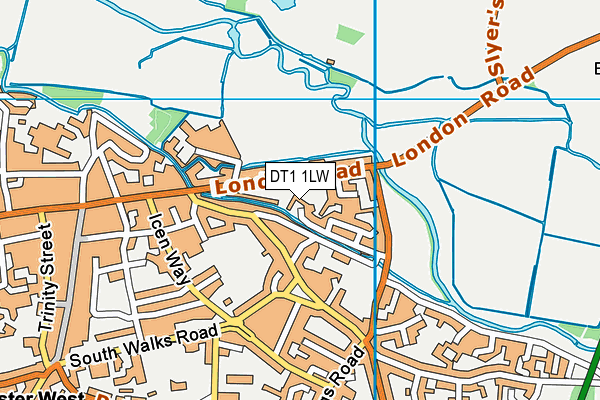 DT1 1LW map - OS VectorMap District (Ordnance Survey) DT1 1LW map - OS VectorMap District (Ordnance Survey)