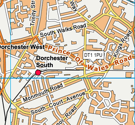 DT1 1PU map - OS VectorMap District (Ordnance Survey) DT1 1PU map - OS VectorMap District (Ordnance Survey)
