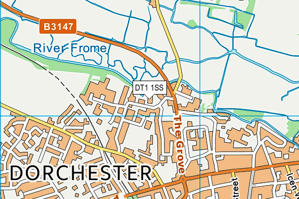 DT1 1SS map - OS VectorMap District (Ordnance Survey) DT1 1SS map - OS VectorMap District (Ordnance Survey)