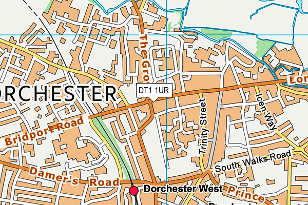 DT1 1UR map - OS VectorMap District (Ordnance Survey) DT1 1UR map - OS VectorMap District (Ordnance Survey)