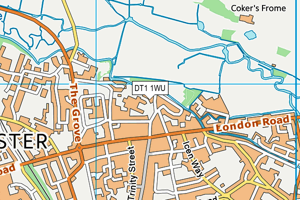 DT1 1WU map - OS VectorMap District (Ordnance Survey) DT1 1WU map - OS VectorMap District (Ordnance Survey)
