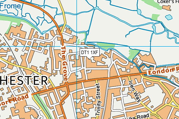 DT1 1XF map - OS VectorMap District (Ordnance Survey) DT1 1XF map - OS VectorMap District (Ordnance Survey)
