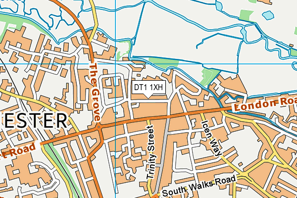 DT1 1XH map - OS VectorMap District (Ordnance Survey) DT1 1XH map - OS VectorMap District (Ordnance Survey)