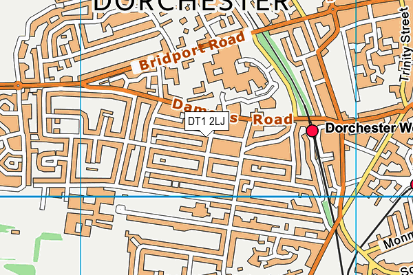 DT1 2LJ map - OS VectorMap District (Ordnance Survey) DT1 2LJ map - OS VectorMap District (Ordnance Survey)