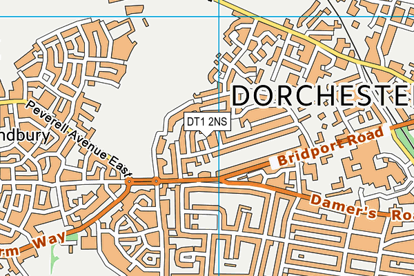 DT1 2NS map - OS VectorMap District (Ordnance Survey) DT1 2NS map - OS VectorMap District (Ordnance Survey)