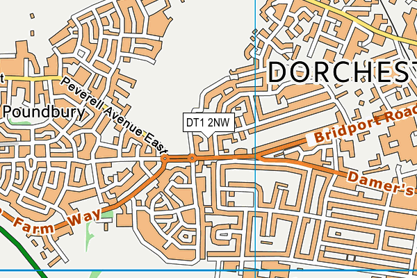 DT1 2NW map - OS VectorMap District (Ordnance Survey) DT1 2NW map - OS VectorMap District (Ordnance Survey)