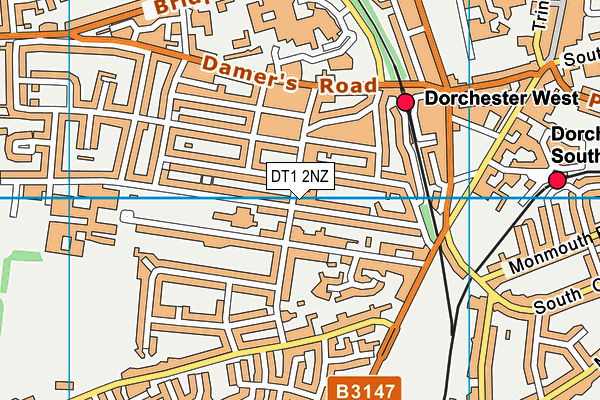 DT1 2NZ map - OS VectorMap District (Ordnance Survey) DT1 2NZ map - OS VectorMap District (Ordnance Survey)