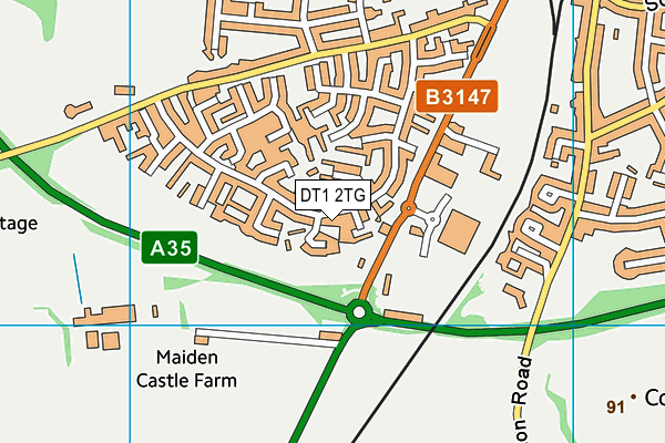 DT1 2TG map - OS VectorMap District (Ordnance Survey) DT1 2TG map - OS VectorMap District (Ordnance Survey)