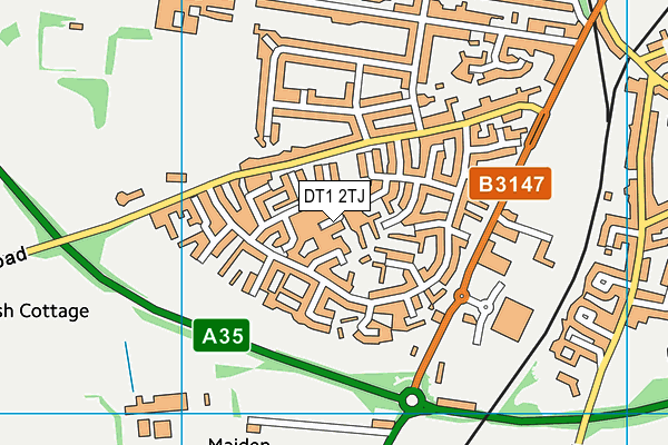 DT1 2TJ map - OS VectorMap District (Ordnance Survey) DT1 2TJ map - OS VectorMap District (Ordnance Survey)