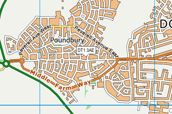 DT1 3AE map - OS VectorMap District (Ordnance Survey) DT1 3AE map - OS VectorMap District (Ordnance Survey)