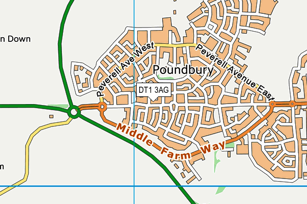 DT1 3AG map - OS VectorMap District (Ordnance Survey)