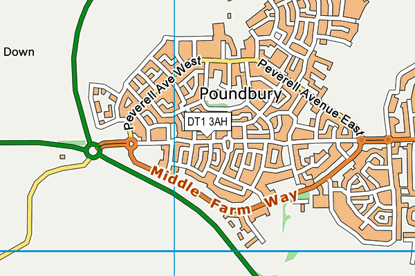 DT1 3AH map - OS VectorMap District (Ordnance Survey) DT1 3AH map - OS VectorMap District (Ordnance Survey)