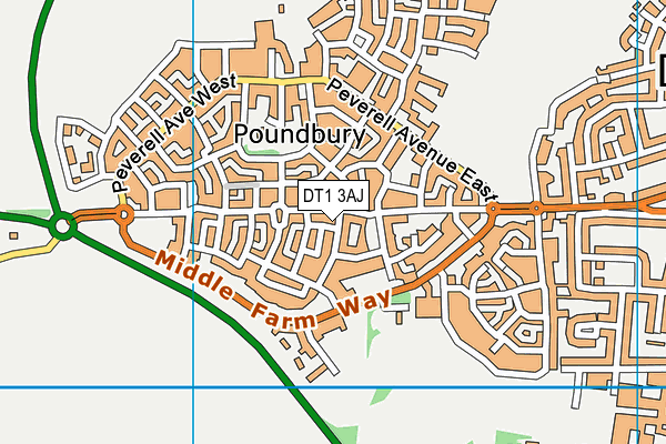 DT1 3AJ map - OS VectorMap District (Ordnance Survey)