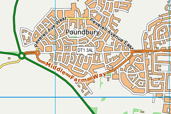 DT1 3AL map - OS VectorMap District (Ordnance Survey) DT1 3AL map - OS VectorMap District (Ordnance Survey)