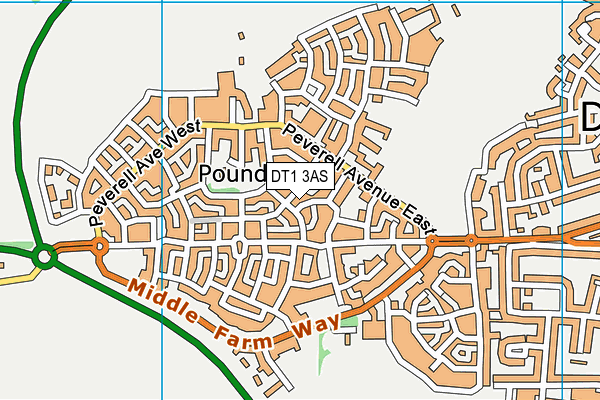 DT1 3AS map - OS VectorMap District (Ordnance Survey) DT1 3AS map - OS VectorMap District (Ordnance Survey)