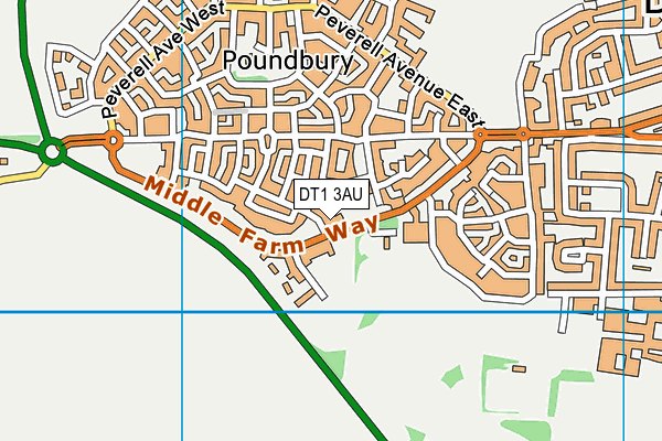 DT1 3AU map - OS VectorMap District (Ordnance Survey)