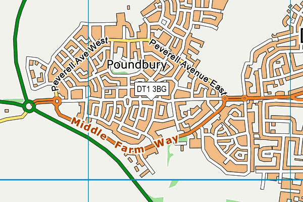 DT1 3BG map - OS VectorMap District (Ordnance Survey) DT1 3BG map - OS VectorMap District (Ordnance Survey)