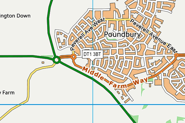 DT1 3BT map - OS VectorMap District (Ordnance Survey) DT1 3BT map - OS VectorMap District (Ordnance Survey)