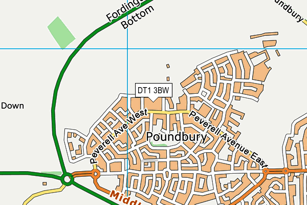 DT1 3BW map - OS VectorMap District (Ordnance Survey) DT1 3BW map - OS VectorMap District (Ordnance Survey)