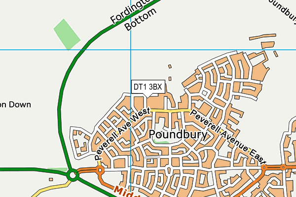 DT1 3BX map - OS VectorMap District (Ordnance Survey) DT1 3BX map - OS VectorMap District (Ordnance Survey)