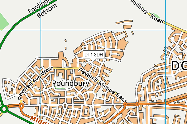 DT1 3DH map - OS VectorMap District (Ordnance Survey) DT1 3DH map - OS VectorMap District (Ordnance Survey)