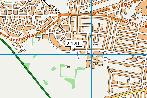 DT1 3FH map - OS VectorMap District (Ordnance Survey) DT1 3FH map - OS VectorMap District (Ordnance Survey)
