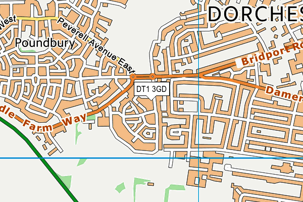 DT1 3GD map - OS VectorMap District (Ordnance Survey) DT1 3GD map - OS VectorMap District (Ordnance Survey)