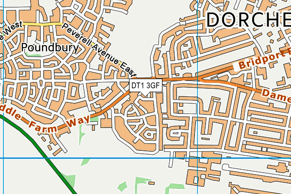 DT1 3GF map - OS VectorMap District (Ordnance Survey) DT1 3GF map - OS VectorMap District (Ordnance Survey)