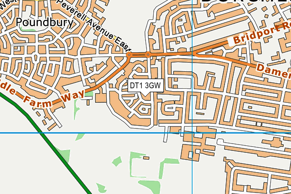 DT1 3GW map - OS VectorMap District (Ordnance Survey) DT1 3GW map - OS VectorMap District (Ordnance Survey)