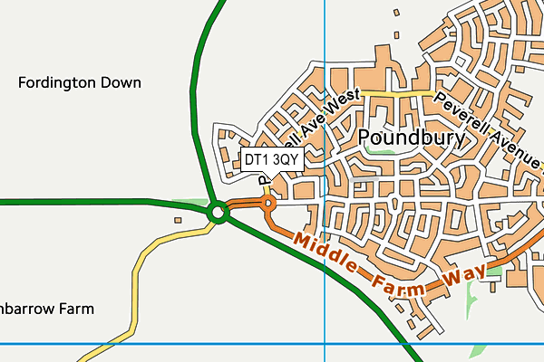 DT1 3QY map - OS VectorMap District (Ordnance Survey) DT1 3QY map - OS VectorMap District (Ordnance Survey)