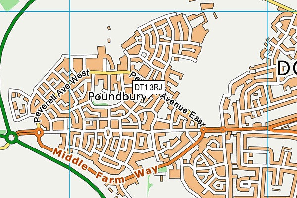DT1 3RJ map - OS VectorMap District (Ordnance Survey) DT1 3RJ map - OS VectorMap District (Ordnance Survey)