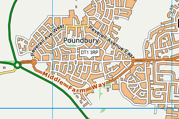 DT1 3RP map - OS VectorMap District (Ordnance Survey) DT1 3RP map - OS VectorMap District (Ordnance Survey)