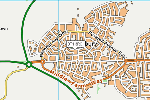 DT1 3RQ map - OS VectorMap District (Ordnance Survey) DT1 3RQ map - OS VectorMap District (Ordnance Survey)