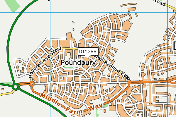 DT1 3RR map - OS VectorMap District (Ordnance Survey) DT1 3RR map - OS VectorMap District (Ordnance Survey)