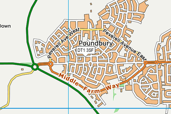 DT1 3SF map - OS VectorMap District (Ordnance Survey) DT1 3SF map - OS VectorMap District (Ordnance Survey)