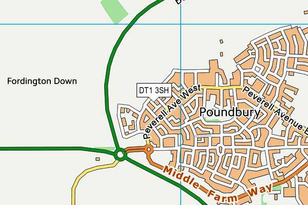 DT1 3SH map - OS VectorMap District (Ordnance Survey) DT1 3SH map - OS VectorMap District (Ordnance Survey)