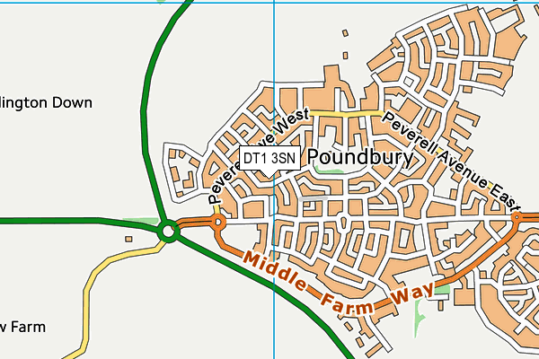 DT1 3SN map - OS VectorMap District (Ordnance Survey) DT1 3SN map - OS VectorMap District (Ordnance Survey)
