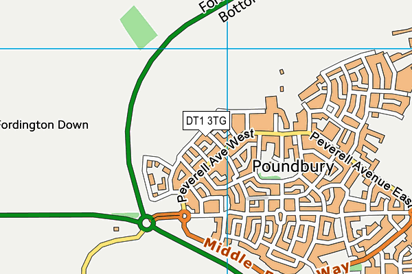 DT1 3TG map - OS VectorMap District (Ordnance Survey) DT1 3TG map - OS VectorMap District (Ordnance Survey)