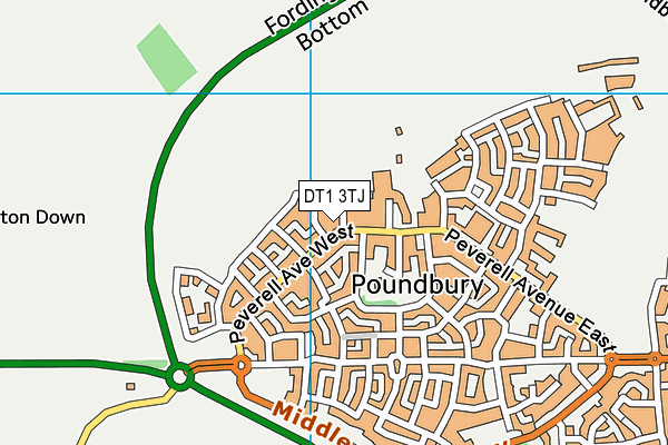DT1 3TJ map - OS VectorMap District (Ordnance Survey) DT1 3TJ map - OS VectorMap District (Ordnance Survey)