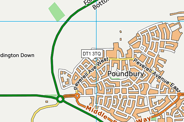 DT1 3TQ map - OS VectorMap District (Ordnance Survey) DT1 3TQ map - OS VectorMap District (Ordnance Survey)