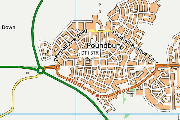 DT1 3TR map - OS VectorMap District (Ordnance Survey) DT1 3TR map - OS VectorMap District (Ordnance Survey)