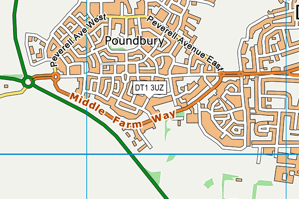 DT1 3UZ map - OS VectorMap District (Ordnance Survey) DT1 3UZ map - OS VectorMap District (Ordnance Survey)
