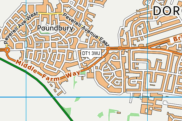 DT1 3WJ map - OS VectorMap District (Ordnance Survey) DT1 3WJ map - OS VectorMap District (Ordnance Survey)