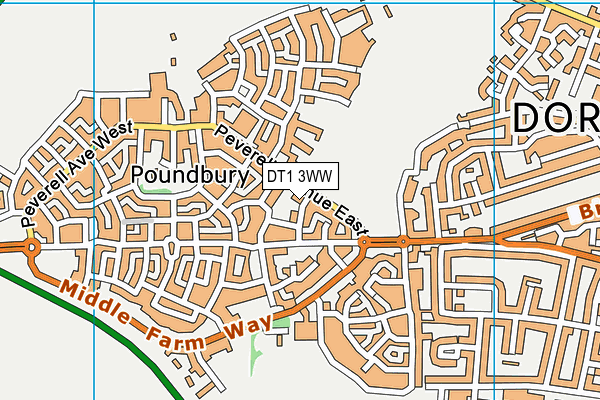 DT1 3WW map - OS VectorMap District (Ordnance Survey) DT1 3WW map - OS VectorMap District (Ordnance Survey)