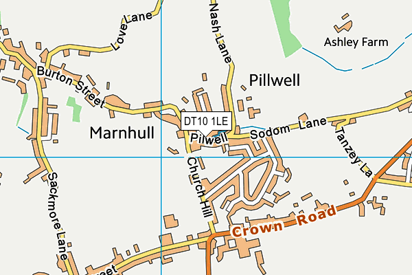 DT10 1LE map - OS VectorMap District (Ordnance Survey)