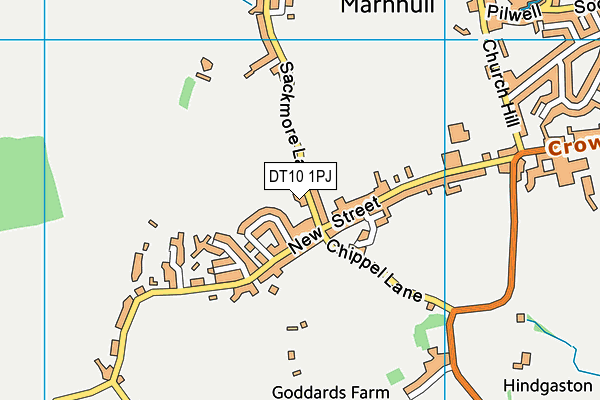 DT10 1PJ map - OS VectorMap District (Ordnance Survey)