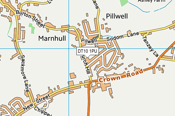 DT10 1PU map - OS VectorMap District (Ordnance Survey)